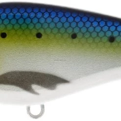 Westin Swim Suspending New Arrivals 7 Westin Swim Suspending New Arrivals