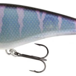 Westin Swim Suspending New Arrivals