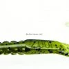 Zoom U-Tale Worm Lures 2 Zoom U-Tale Worm Lures