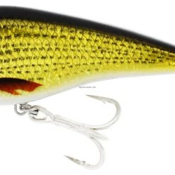 New Arrivals Westin Swim SW Suspending