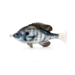 Savage Gear Pulse Tail Bluegill LB New Arrivals 13 Savage Gear Pulse Tail Bluegill LB New Arrivals