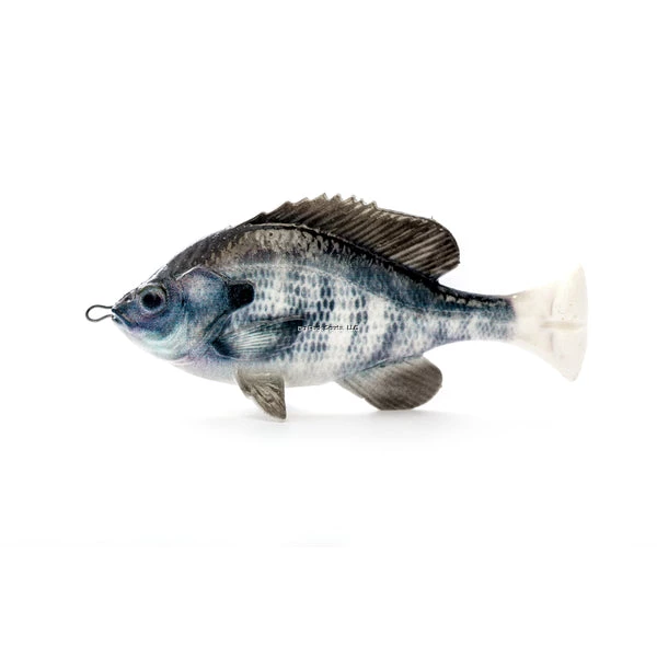 Savage Gear Pulse Tail Bluegill LB New Arrivals 8 Savage Gear Pulse Tail Bluegill LB New Arrivals