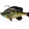 New Arrivals Savage Gear Pulse Tail Bluegill RTF