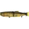 Savage Gear 3D Glide Swimmer 8", 3oz, SS Golden Shiner Lures