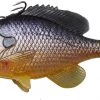 Savage Gear 3D Pulse Tail Bluegill Line Thru New Arrivals