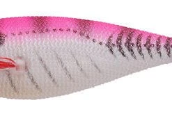 Yo-Zuri Sinking Squid Calamari Jigs 3 1/8