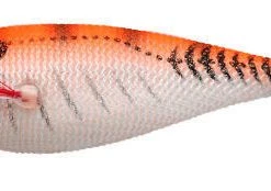 Yo-Zuri Sinking Squid Calamari Jigs 3 1/8