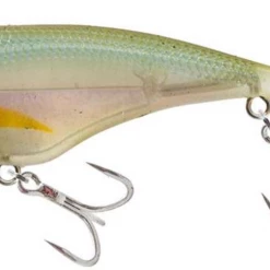 Nomad Vertrex Max Vibe New Arrivals