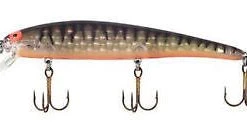 New Arrivals Bomber Long A 13A, 14A, 15A