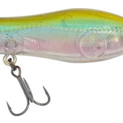 Nomad Chug Norris Popper 72 Autotune Freshwater