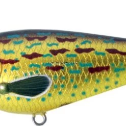 River2Sea Chris Lane Big Mistake Topwater Prop Bait, 6 3/8", 7/8 Oz, Chubby