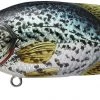Live Target LiveTarget Crappie Flat-Side Shallow Dive Crankbait Lures