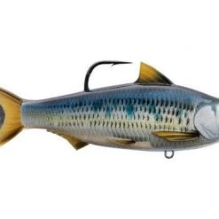 Lures Live Target Common Shiner Swimbait