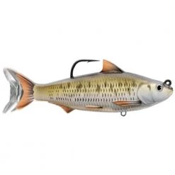 Lures Live Target Common Shiner Swimbait