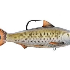 Lures Live Target Common Shiner Swimbait
