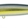 Daiwa DS Minnow 110mm Floating Diver Bass Barra Lure DSM11F08 Blue Back Gold 2 Daiwa DS Minnow 110mm Floating Diver Bass Barra Lure DSM11F08 Blue Back Gold