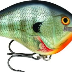 Rapala Dives-To 10 Crankbait, 2 1/4", 3/5 Oz, Floating New Arrivals