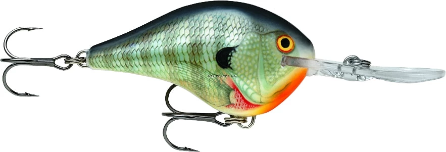 Rapala Dives-To 10 Crankbait, 2 1/4", 3/5 Oz, Floating New Arrivals 4 Rapala Dives-To 10 Crankbait, 2 1/4", 3/5 Oz, Floating New Arrivals