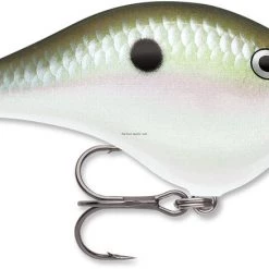 Rapala Dives-To 6, Floating-Diving, 2", 3/8oz 6ft #5 Trebles, Green Gizzard Shad Lures