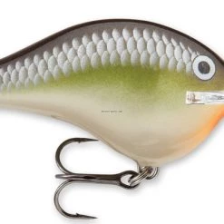 Rapala Dives-To 06 Crankbait, 2", 3/8 Oz, Floating New Arrivals 10 Rapala Dives-To 06 Crankbait, 2