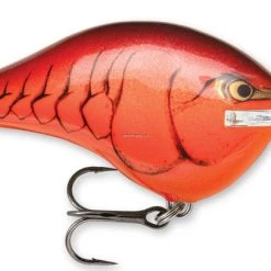 Rapala Dives-To 10 Crankbait, 2 1/4", 3/5 Oz, Floating New Arrivals 7 Rapala Dives-To 10 Crankbait, 2 1/4