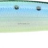 Lucky Craft Flash Minnow Suspending Jerkbait, 4 1/2", 5/8 Oz, Super Glow Sardine Lures 2 Lucky Craft Flash Minnow Suspending Jerkbait, 4 1/2", 5/8 Oz, Super Glow Sardine Lures