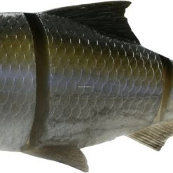 Savage Gear 3D Line Thru Shad Segmented Swimbait, 10", 6 3/4 Oz, Slow Sink Hitch Lures