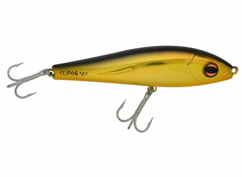 Lures Halco Slidog 150 #H51, 6", 3oz, Chrome Gold Black Back 3 Lures Halco Slidog 150 #H51, 6", 3oz, Chrome Gold Black Back