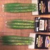 Lures Tsunami Holographic EEL Sandeel Elver Striper Chartruese HE4-3-1 Lure 4" LOT 9