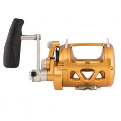 New Arrivals Penn International VISW Reels
