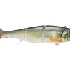 Jackall Gantia 180 Suspending Swimbait 7" Bait Sexy Pearl Ayu JGAN180-RTSPA