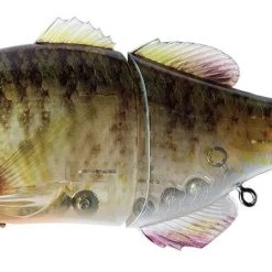 Jackall Gantarel Jointed Swimbaits