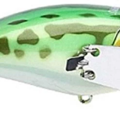 Jackall Pompadour Jr Topwater