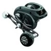 Daiwa Lexa Type-WN Baitcast Reel New Arrivals 2 Daiwa Lexa Type-WN Baitcast Reel New Arrivals