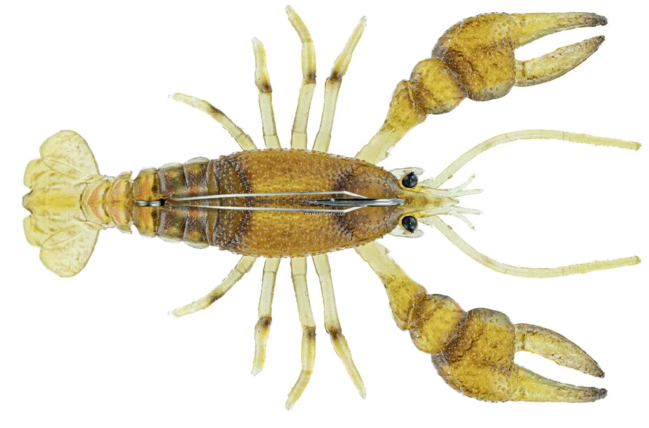 Chasebaits Chasebait Crawdad Mud Bug 16 Chasebaits Chasebait Crawdad Mud Bug