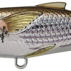 Live Target LiveTarget Mullet Topwater Popper 4 3/4", 1 1/4 Oz