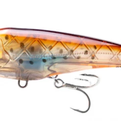 New Arrivals Nomad DTX Minnow Shallow Floating 8 New Arrivals Nomad DTX Minnow Shallow Floating