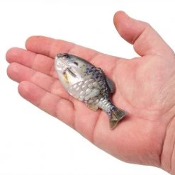 Berkley PowerBait Gilly Designed By Mike Iaconelli