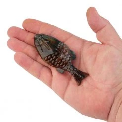 Berkley PowerBait Gilly Designed By Mike Iaconelli