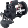 Penn Warfare Level Wind Counter Reel New Arrivals