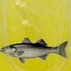 Striper & Bluefish Fin Strike Pro Series Striped Bass Snelled Hook, Size 8/0