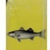 Fin Strike Pro Series Striped Bass Snelled Hook, Size 8/0