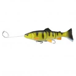 Lures Savage Gear Pre-Rigged Line Thru 4D Trout