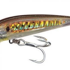 Lures Yo-Zuri Sashimi 3D Hydro Magnum Sinking Lure