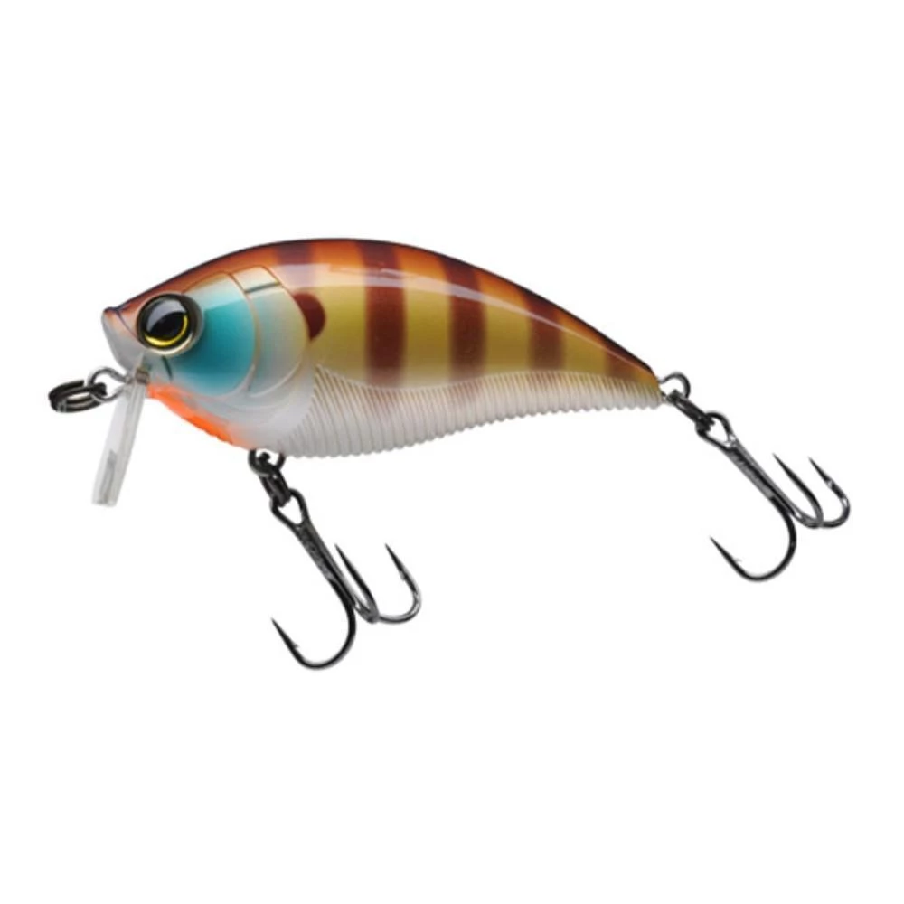 Yo-Zuri 3DB Wake Bait Lure R1146 Lures 10 Yo-Zuri 3DB Wake Bait Lure R1146 Lures