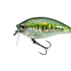 Yo-Zuri 3DB Wake Bait Lure R1146 Lures 30 Yo-Zuri 3DB Wake Bait Lure R1146 Lures