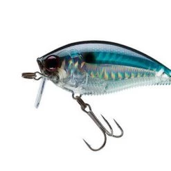 Yo-Zuri 3DB Wake Bait Lure R1146 Lures 24 Yo-Zuri 3DB Wake Bait Lure R1146 Lures