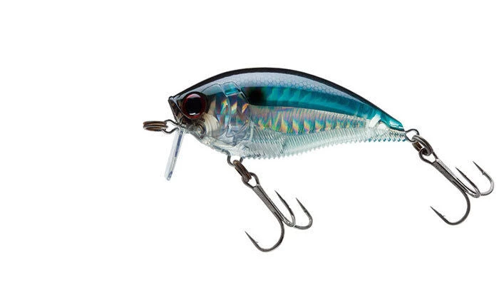 Yo-Zuri 3DB Wake Bait Lure R1146 Lures 9 Yo-Zuri 3DB Wake Bait Lure R1146 Lures