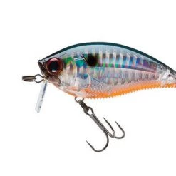 Yo-Zuri 3DB Wake Bait Lure R1146 Lures 21 Yo-Zuri 3DB Wake Bait Lure R1146 Lures