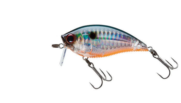 Yo-Zuri 3DB Wake Bait Lure R1146 Lures 6 Yo-Zuri 3DB Wake Bait Lure R1146 Lures